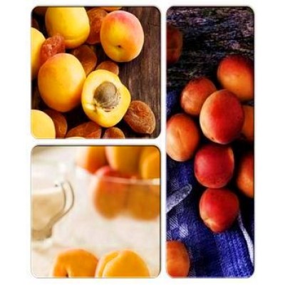 Абрикос > коллекция из 3-х сортов: Абрикос Зоряный => Абрикос Леала => Абрикос Ледана Абрикос > коллекция из 3-х сортов: Абрикос Зоряный => Абрикос Леала => Абрикос Ледана