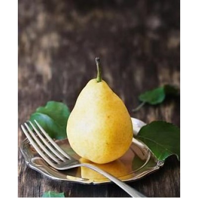 Саженец груши "Берре Киевская" Саженец груши "Берре Киевская"