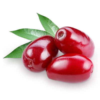 Саженец кизила "Йолико" Саженец кизила "Йолико"